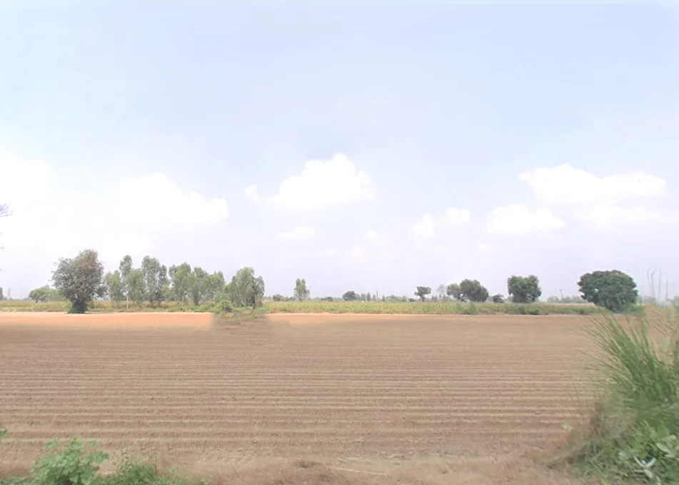 Sandila, Uttar Pradesh 241204, India preview 2