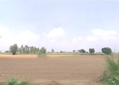 Sandila, Uttar Pradesh 241204, India preview 2