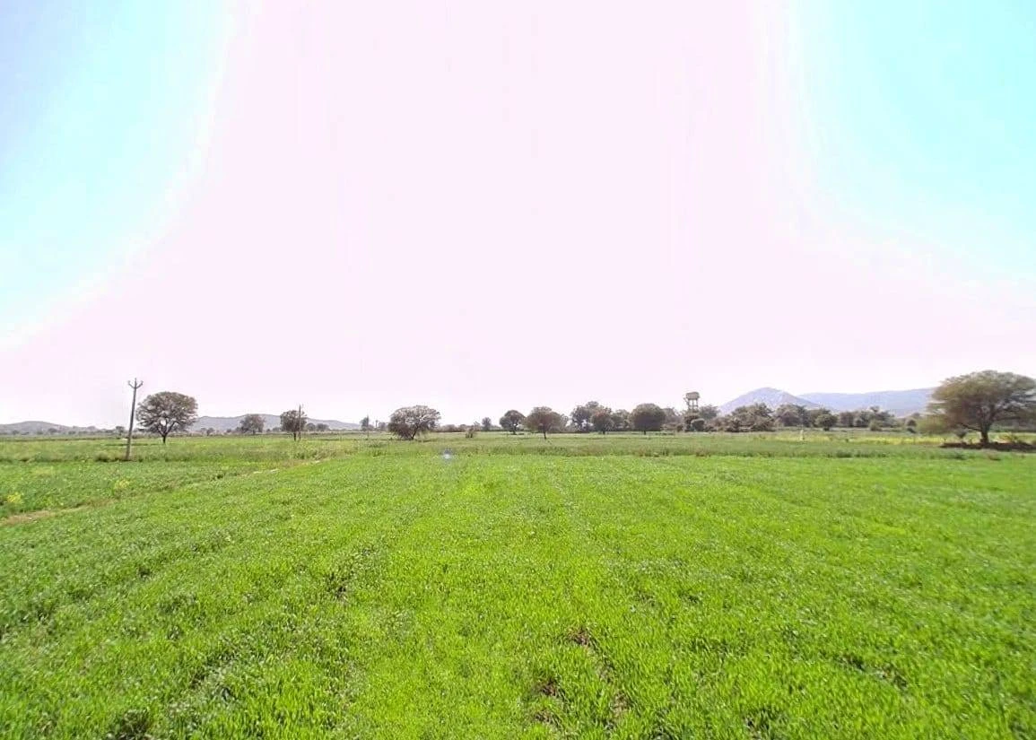 Siliserh Lake Palace, Kishanpur, Rajasthan 301001, India