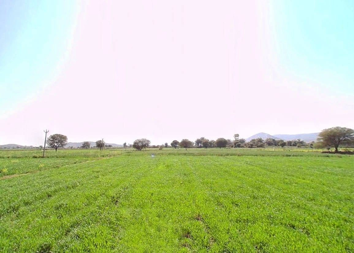 Siliserh Lake Palace, Kishanpur, Rajasthan 301001, India