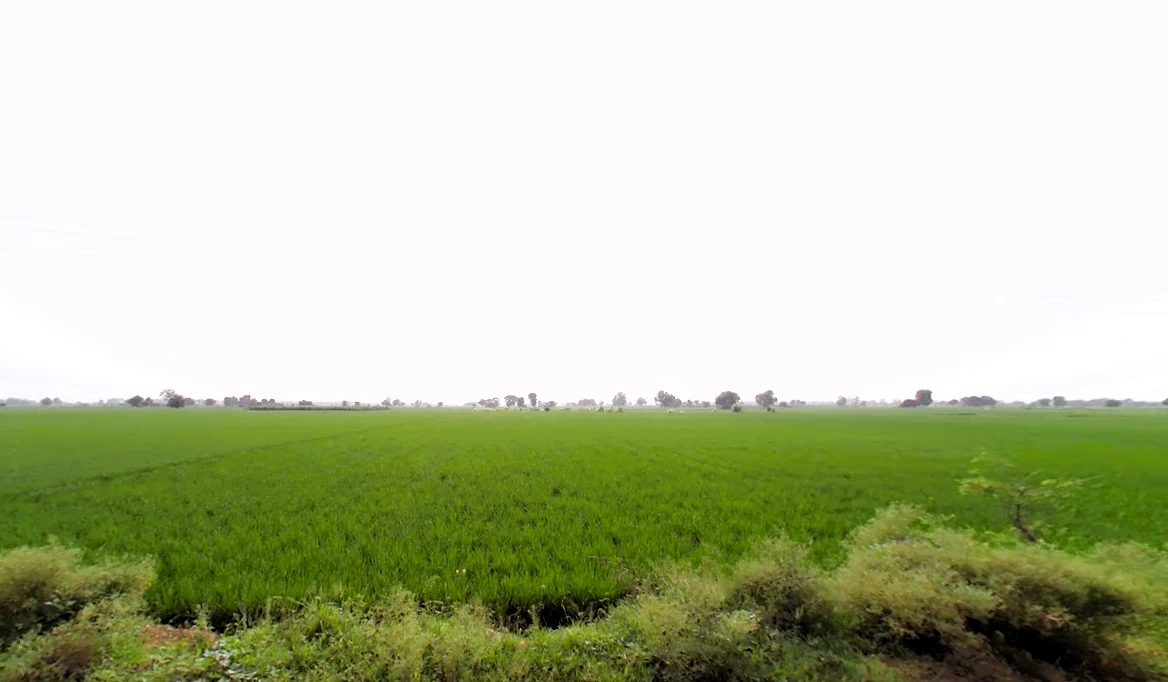 Madlauda, Haryana 132113, India