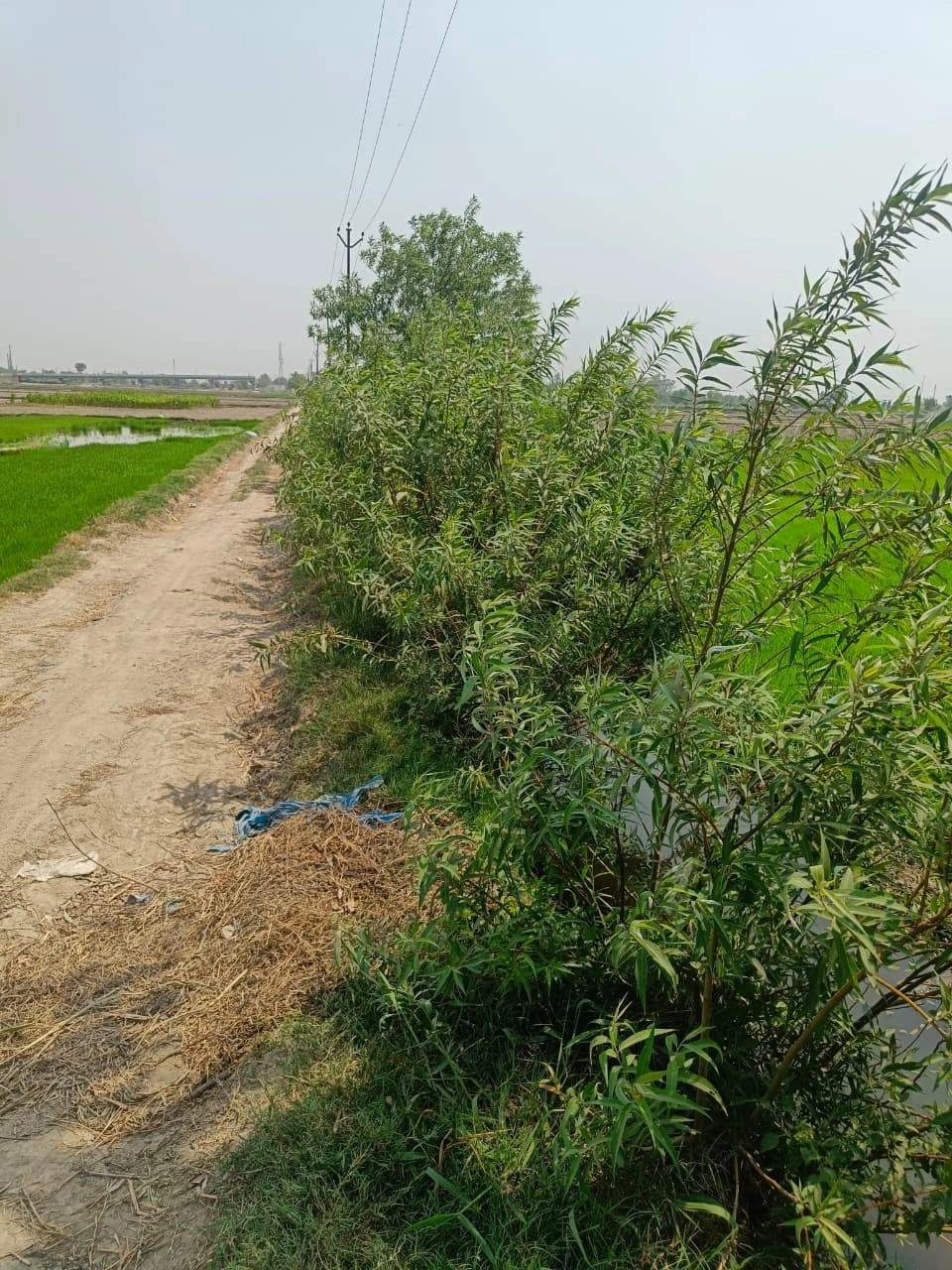Sahar, Uttar Pradesh, India