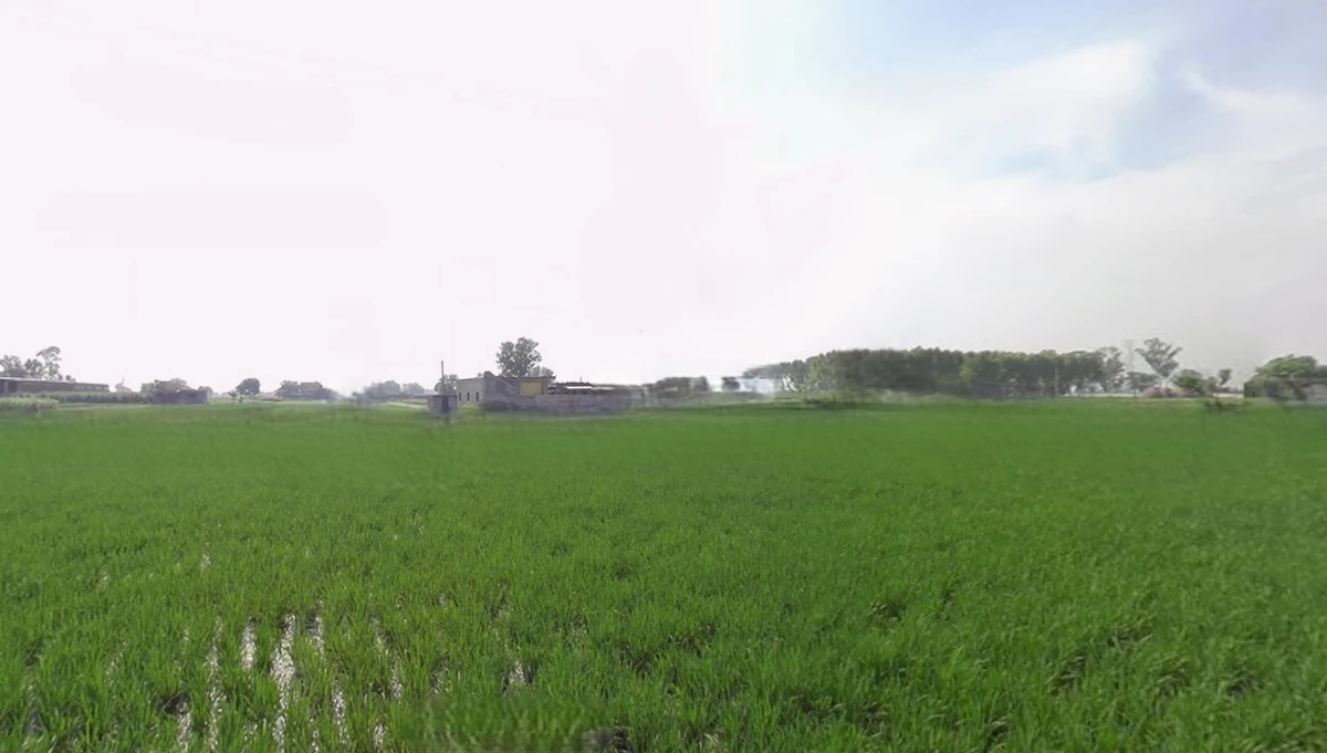 Behram, Punjab 144504, India