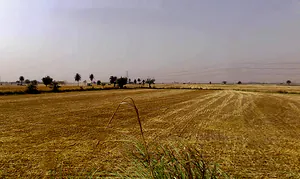 Kasna Village, Greater Noida, Uttar Pradesh 201312, India preview 2
