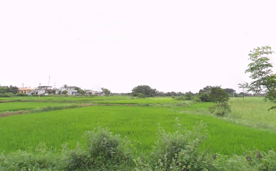 Mucherla, Telangana 509358, India