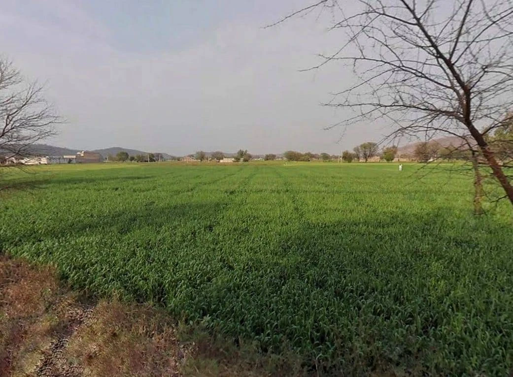 CQRQ+89Q, Pali, Rajasthan 301001, India