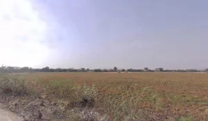 Bala, Rajasthan 306422, India preview 2