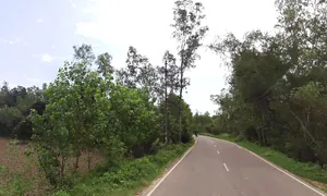 Behat, Uttar Pradesh 247121, India preview 3