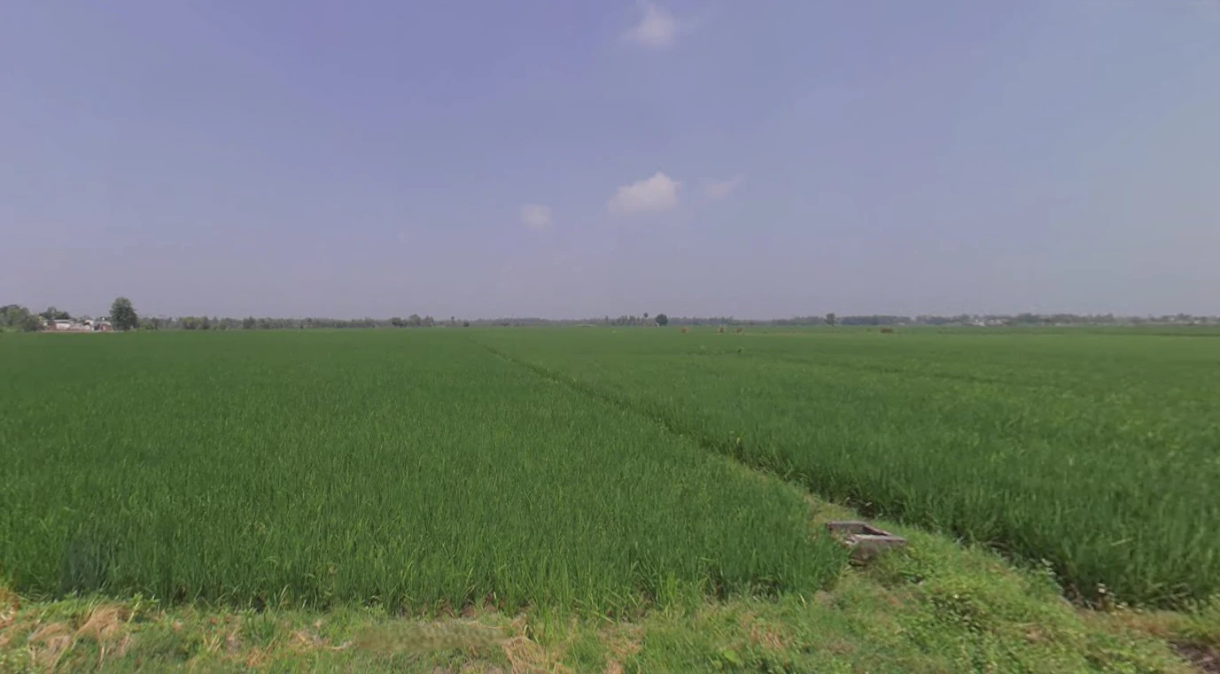 Thakurdwara, Uttar Pradesh 244601, India