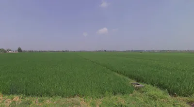 Thakurdwara, Uttar Pradesh 244601, India preview 3