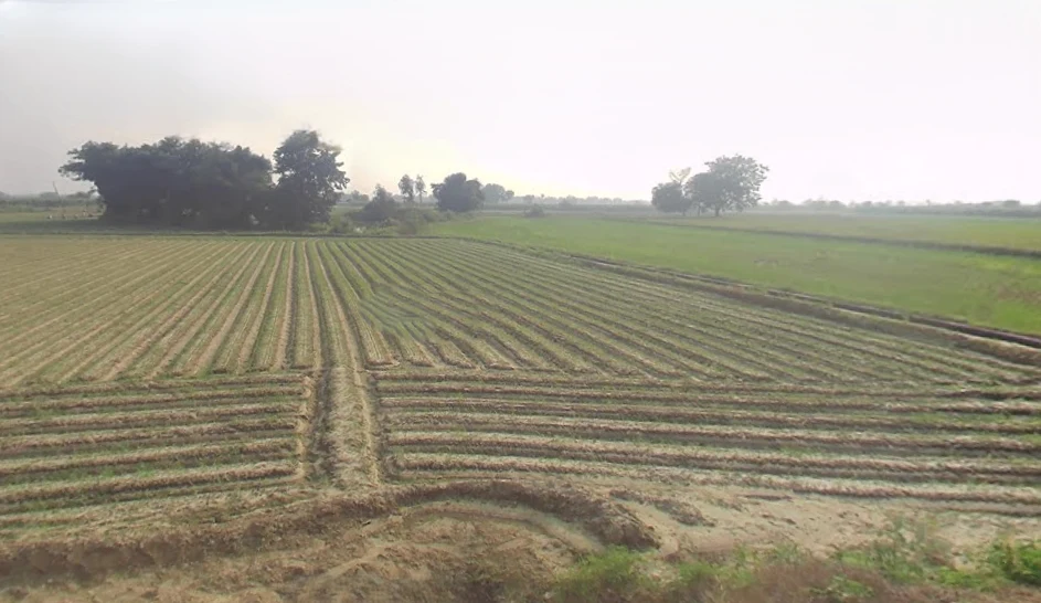 Garh Mukteshwar, Uttar Pradesh 245205, India