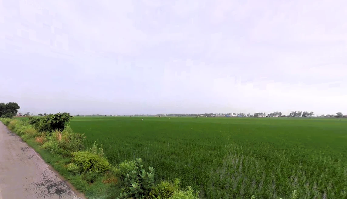 Assandh, Haryana 132039, India preview 3