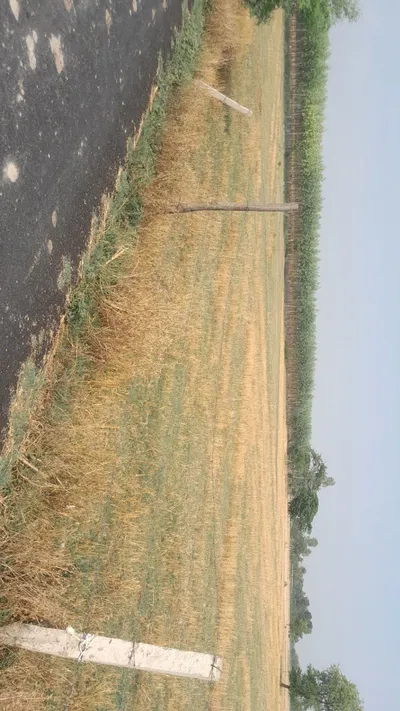 M7F6+2W Durga Pur, Uttar Pradesh, India preview 2