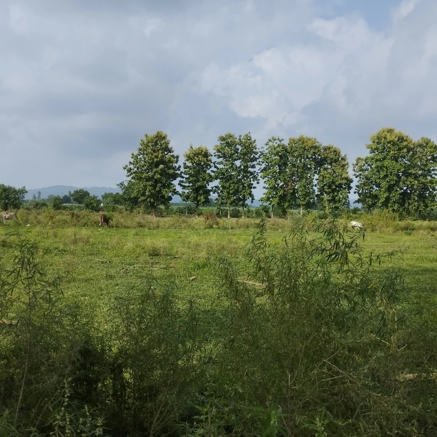 Modinagar - Sonda Rd, Sonda, Uttar Pradesh 201204, India