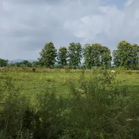 Modinagar - Sonda Rd, Sonda, Uttar Pradesh 201204, India preview 3