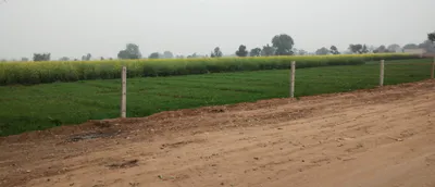 Rajpura, Punjab, India preview 2