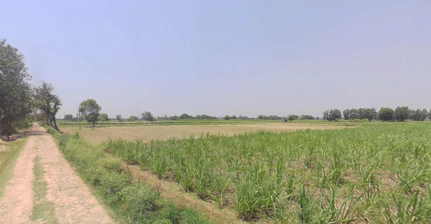 Noida, Uttar Pradesh, India