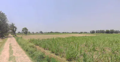 Noida, Uttar Pradesh, India preview 2