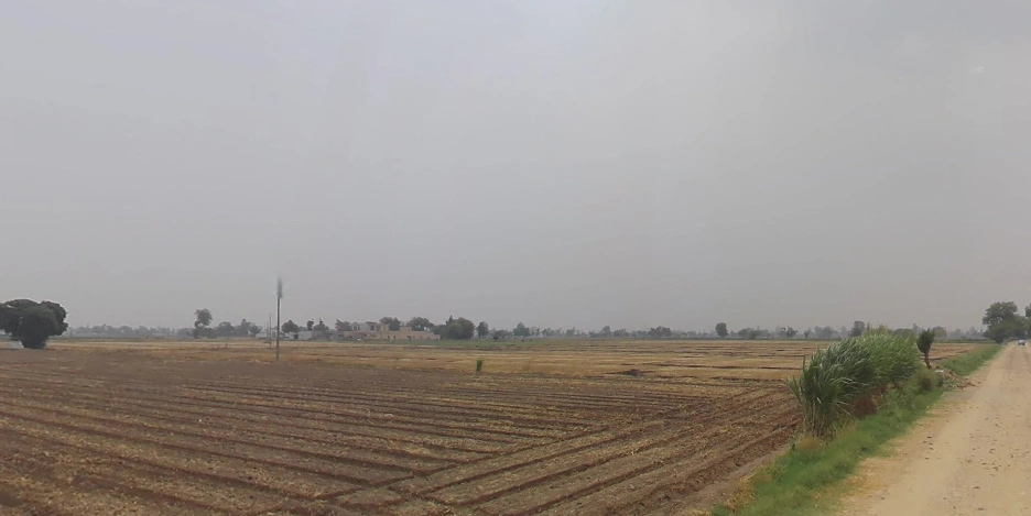 Rajpura, Punjab, India