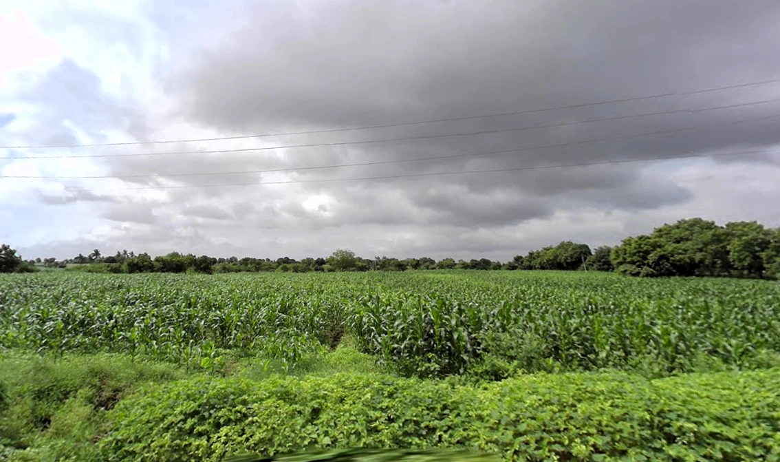 Savanur, Karnataka 581118, India