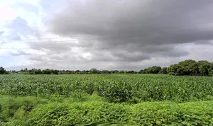 Savanur, Karnataka 581118, India preview 2