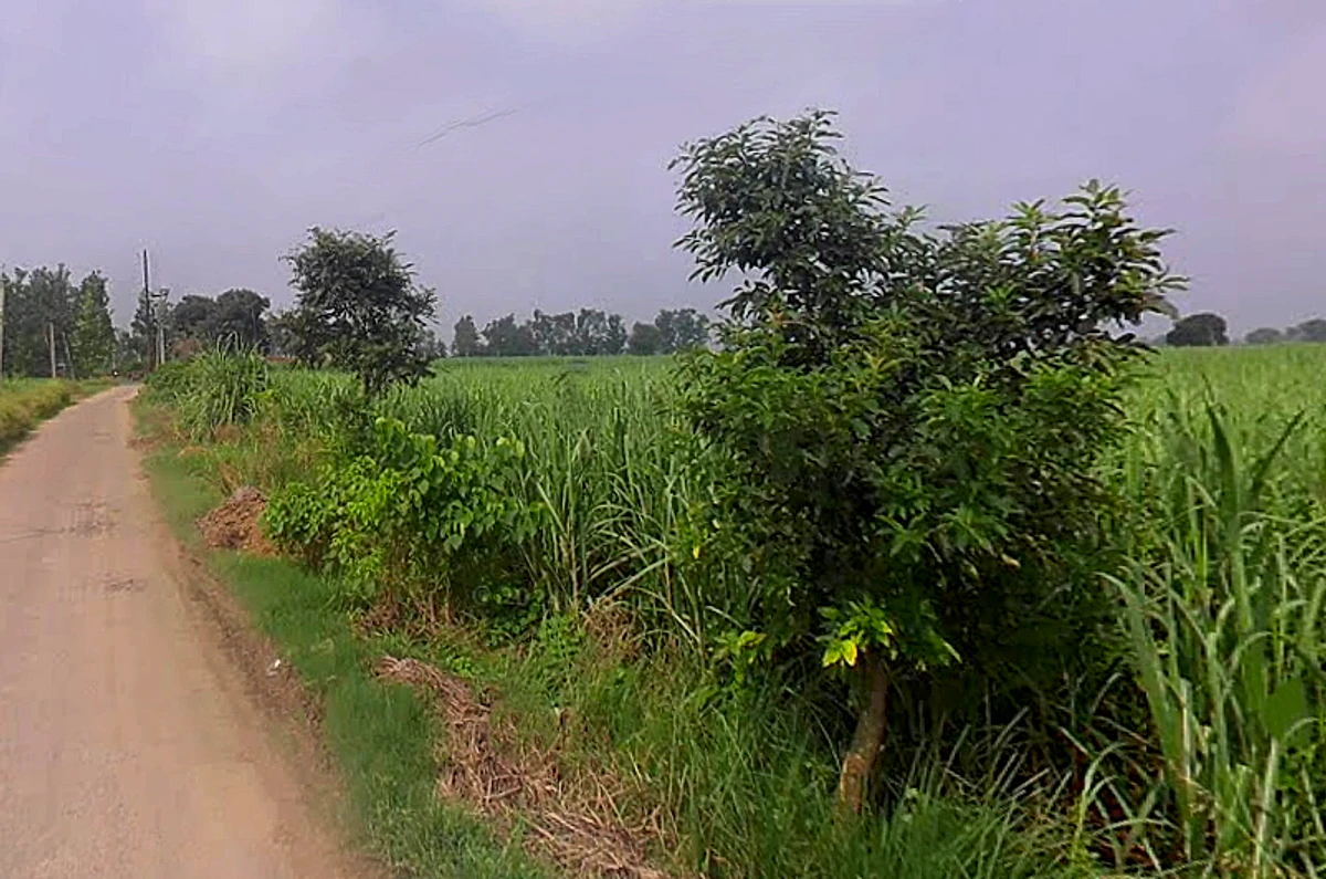 Bhaguwala, Uttar Pradesh 246749, India