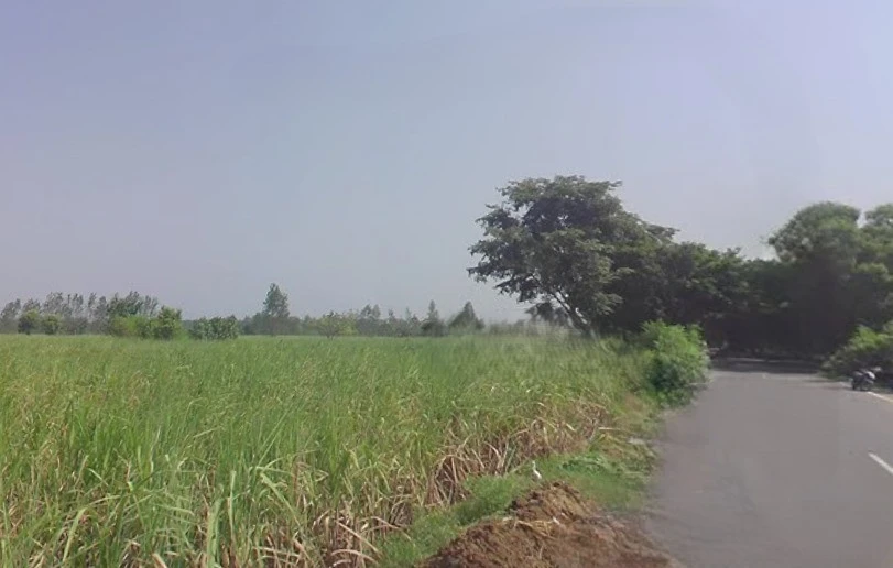 Kanth, Uttar Pradesh 244501, India