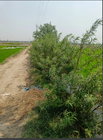 JPM8+8Q Mant, Mathura, Uttar Pradesh, India