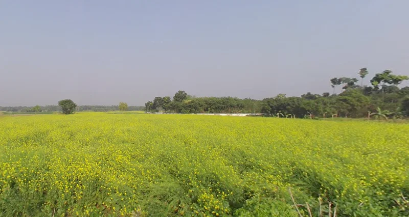 Krishnanagar, West Bengal, India preview 3