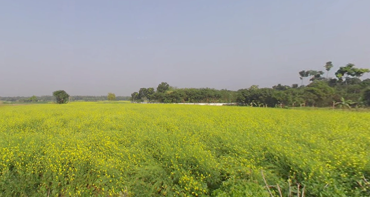 Krishnanagar, West Bengal, India