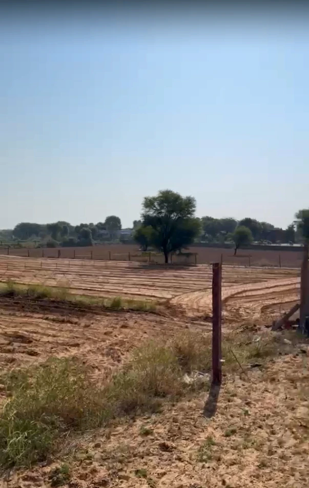 9V85+J5J, Laxmangarh, Rajasthan 321607, India