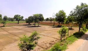 Koka, Haryana, India preview 3