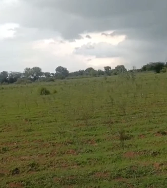 VVQJ+MQP, Kannauj, Jainpura, Uttar Pradesh 209734, India - Photo 1