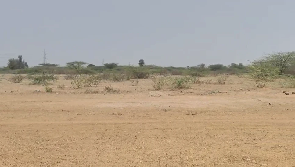 XGV5+63 Mandli, Andhra Pradesh, India