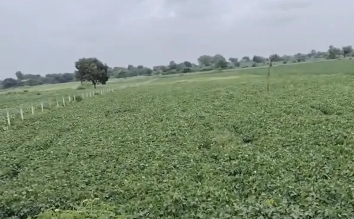2QGX+5RW, Indore, Titawada, Madhya Pradesh, India
