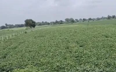 2QGX+5RW, Indore, Titawada, Madhya Pradesh, India preview 2