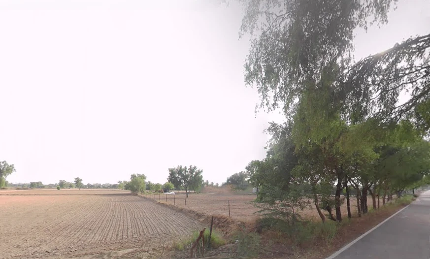 Kaluana, Haryana 125103, India