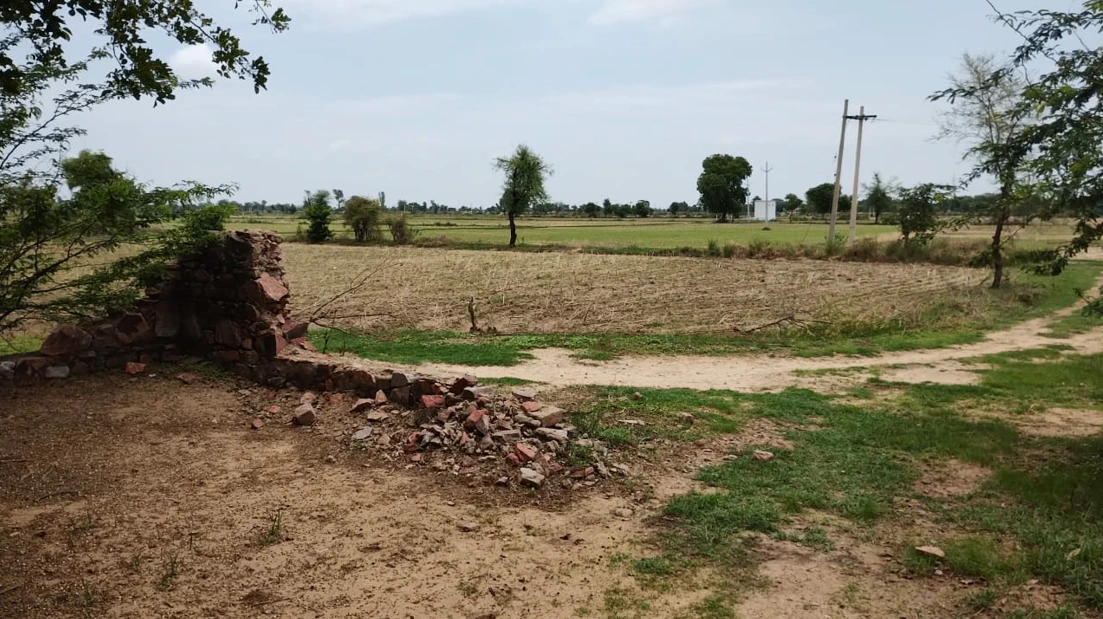 Barnagar, Madhya Pradesh 456771, India