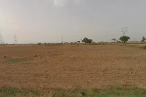 Farukh Nagar, Haryana 122506, India preview 3