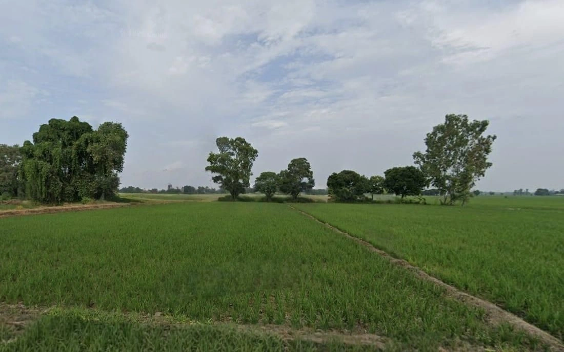 Sikandarabad, Madhya Pradesh 462044, India preview 3