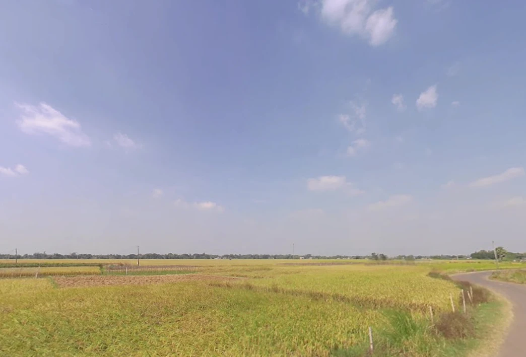 Bagnan, West Bengal 711303, India