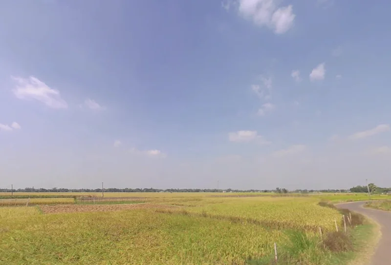 Bagnan, West Bengal 711303, India preview 3