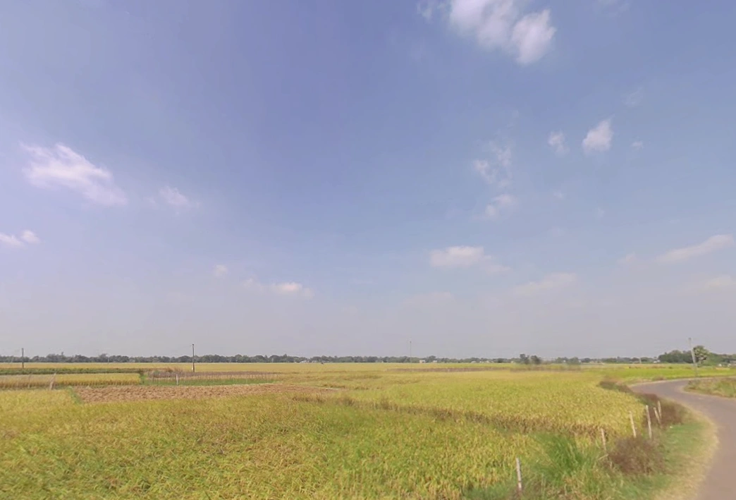 Bagnan, West Bengal 711303, India