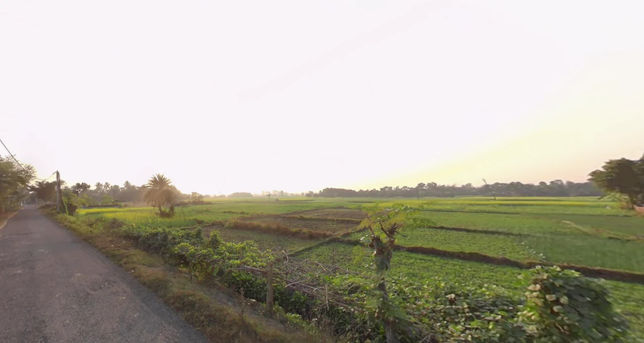 Birohi, Shitalatala, West Bengal 741245, India