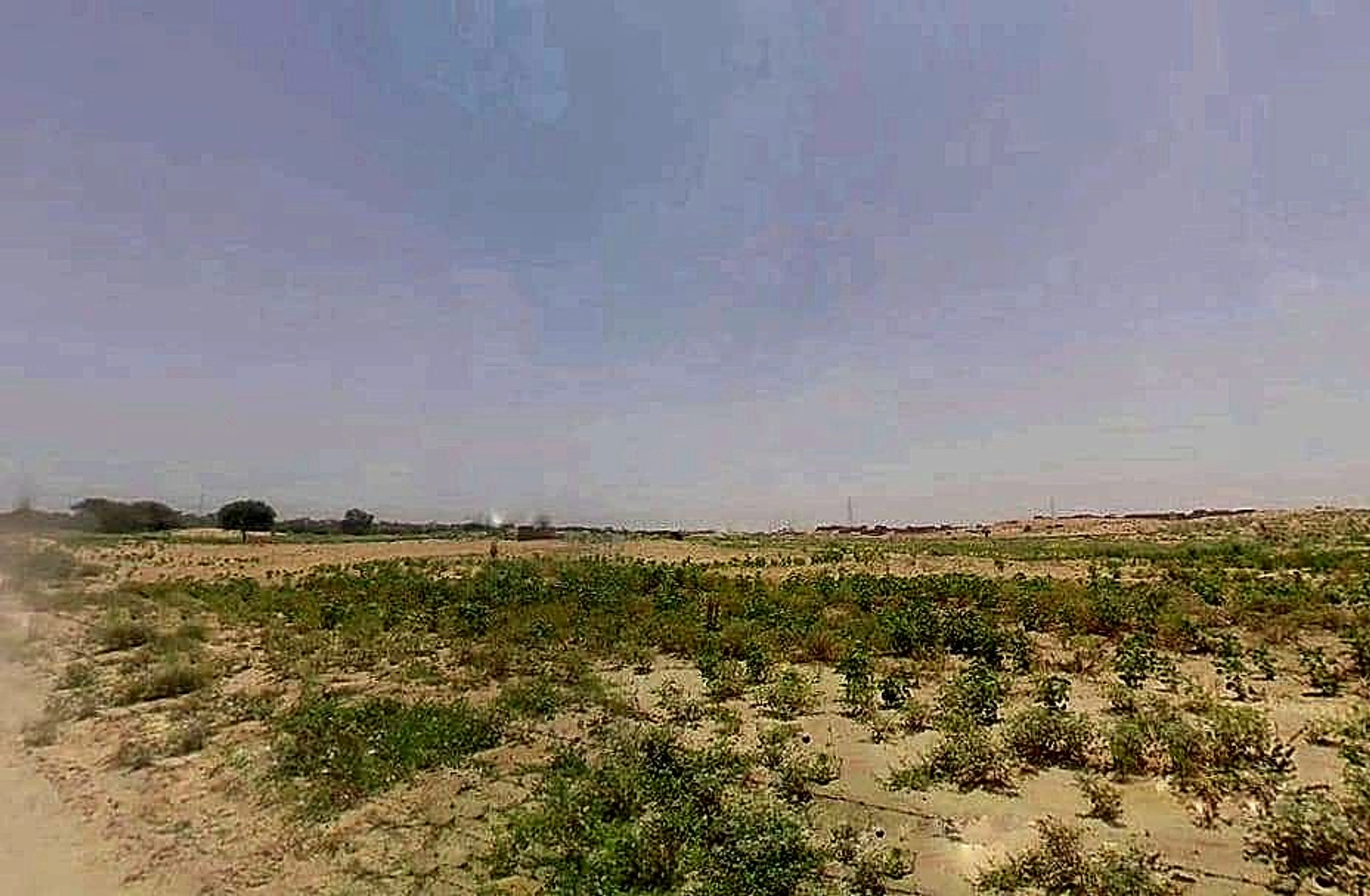 Suratgarh, Rajasthan 335804, India