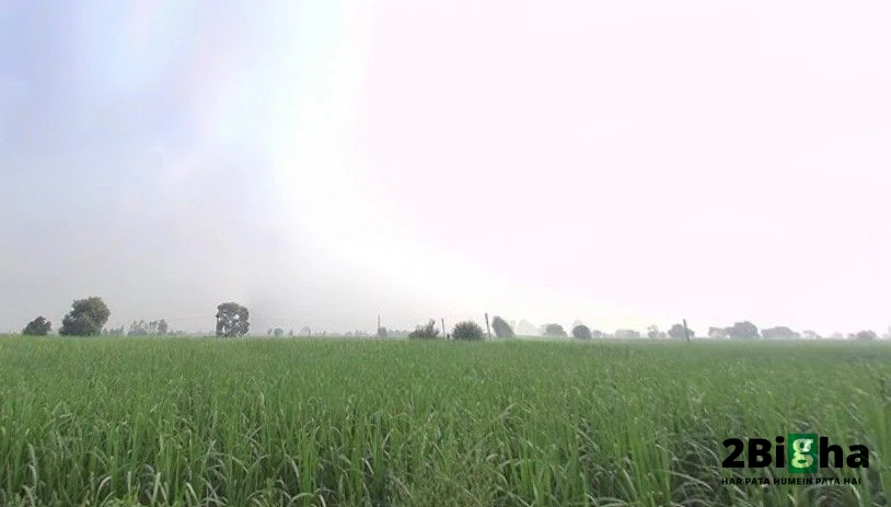 Gotka, Uttar Pradesh 250344, India