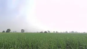 Gotka, Uttar Pradesh 250344, India preview 2