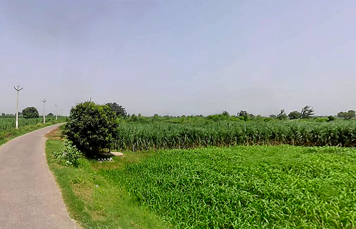 Satwai, Uttar Pradesh, India