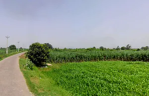 Satwai, Uttar Pradesh, India preview 2