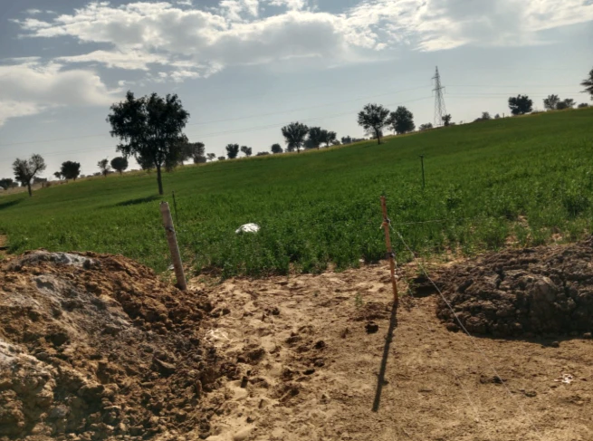2RM4+PXV, Kurukshetra, Hansala, Dhurala, Haryana 136119, India